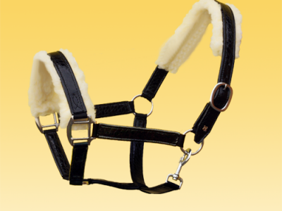 Halter with a removable sheepskin